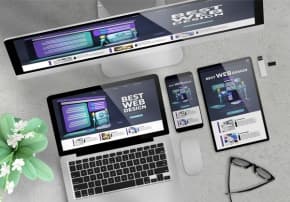DESARROLLO WEB